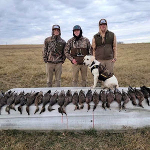 Meet your Posher, Gage